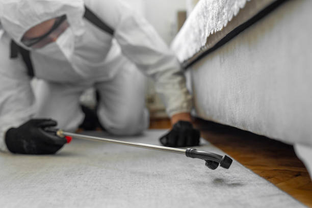 Professional Termite Control technician working in Milford, NE