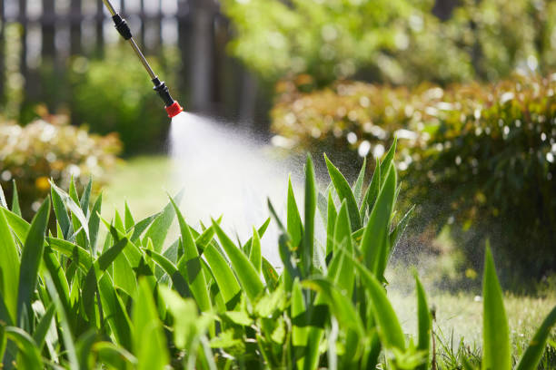 24/7 Emergency Termite Control experts in Milford, NE