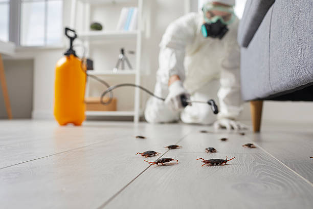 Trusted Cockroach Control service in Milford, NE - Nex Pest Control