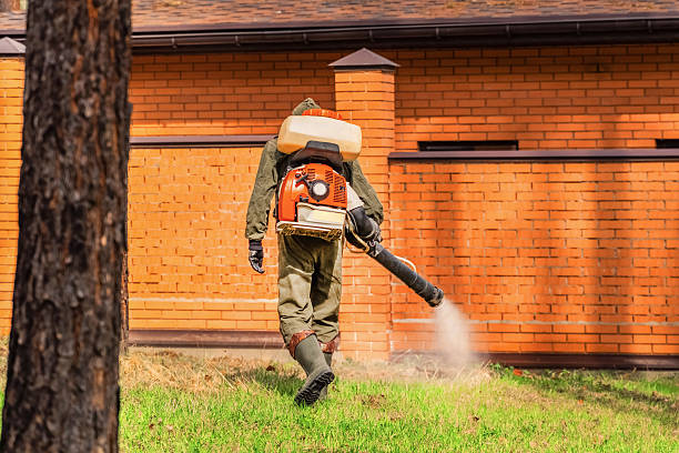 Trusted Rodent Control service in Milford, NE - Nex Pest Control